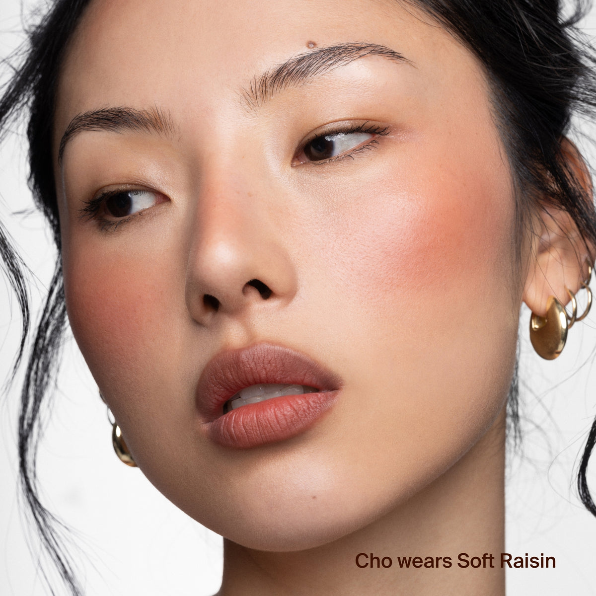 Soft Raisin - A Rosy Terracotta